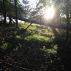 Meet your Posher, Callie